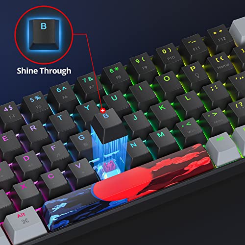 Owpkeenthy Portable 60% Percent Mechanical Gaming Keyboard, Mini Wired Ultra Compact RGB 68 Keys Office Keyboard with Red Switch Backlit for PC/PS5/XBOX(Dark/ 68 Red Switch)