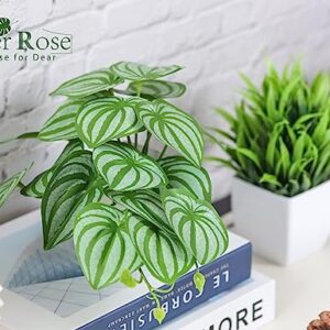 Der Rose Set of 2 Artificial Small Fake Plants for Home Living Room Bathroom Office Decor Aesthetic Indoor