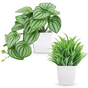 der rose set of 2 artificial small fake plants for home living room bathroom office decor aesthetic indoor