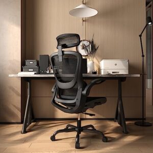 GABRYLLY Ergonomic Office Desk Chair, High Back Mesh Chair with Adjustable Flip-up Arms & Headrest, Swivel Computer Task Chair with Lumbar Support, Tilt Function for Home,Office & Student(Black)