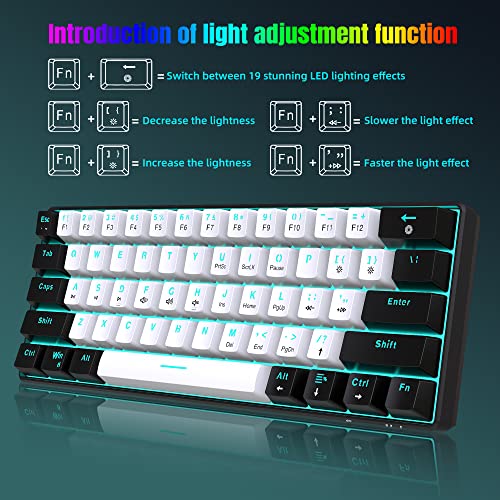 Snpurdiri 60% Wired Mechanical Gaming Keyboard, Ice Blue LED Backlit 61 Keys Mini Wired Office Keyboard for Windows Laptop PC Mac (Black-White, Brown Switches)