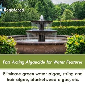 Fountain Algaecide and Clarifier - 16oz - Kills and Inhibits All Types of Algae Growth, Formulated for Small Ponds and Water Features, Treats up to 16,000 Gallons