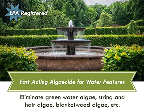 Fountain Algaecide and Clarifier - 16oz - Kills and Inhibits All Types of Algae Growth, Formulated for Small Ponds and Water Features, Treats up to 16,000 Gallons