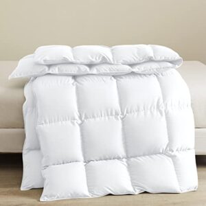 Soft Comforter Queen Size-Lightweight Down Alternative Comforter Duvet Insert with 8 Corner Tabs-Fluffy Breathable Box Stitched Reversible Comforter(White, Queen)