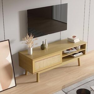 EOYUTLLY Farmhouse Rattan TV Stand 46.8" Boho tv Stand Muebles para TV with 1 Doors and 2 Open Shelves Mid Century Modern TV Stand for Living Room Bedroom Furniture