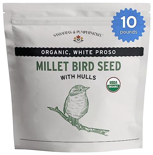 Sassafras & Pumpernickel Organic Millet with Hulls (10 lbs) USA Grown and Packaged, Bulk White Proso Millet for Birds, Hull-on Millet for Added nutrients, Millet Bird Seed for Parakeets, Cockatiels