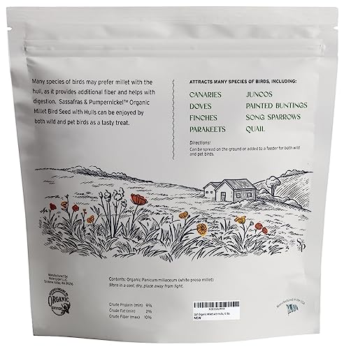 Sassafras & Pumpernickel Organic Millet with Hulls (10 lbs) USA Grown and Packaged, Bulk White Proso Millet for Birds, Hull-on Millet for Added nutrients, Millet Bird Seed for Parakeets, Cockatiels