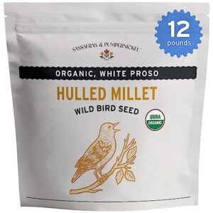Sassafras & Pumpernickel Organic Millet without Hulls (12 lbs) USA Grown and Packaged, Bulk White Proso Millet for Birds, Hull-on Millet for added nutrients, Millet Bird Seed for parakeets, cockatiels