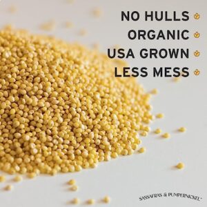 Sassafras & Pumpernickel Organic Millet without Hulls (12 lbs) USA Grown and Packaged, Bulk White Proso Millet for Birds, Hull-on Millet for added nutrients, Millet Bird Seed for parakeets, cockatiels