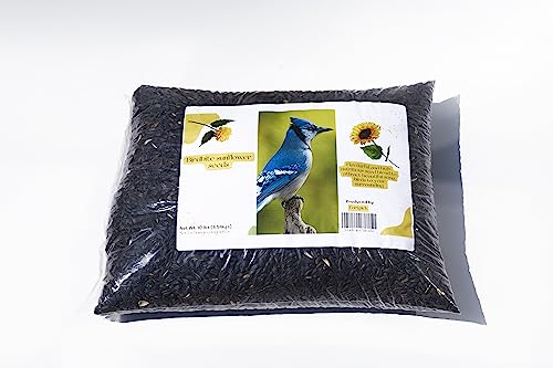 Black Oil Sunflower Seeds for Birds (10 Pound), Birds Seed for Outside Wild Birds, Birds Love Black Oil Sunflower Seeds for Their high-Fat Content, Nutrition Filled Bird Seed for Outside feeders