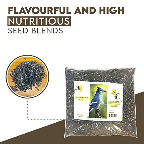 Black Oil Sunflower Seeds for Birds (10 Pound), Birds Seed for Outside Wild Birds, Birds Love Black Oil Sunflower Seeds for Their high-Fat Content, Nutrition Filled Bird Seed for Outside feeders