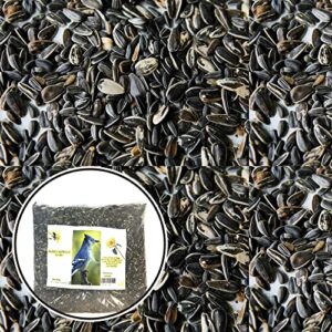 Black Oil Sunflower Seeds for Birds (10 Pound), Birds Seed for Outside Wild Birds, Birds Love Black Oil Sunflower Seeds for Their high-Fat Content, Nutrition Filled Bird Seed for Outside feeders