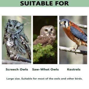 Prolee Screech Owl House Hand Made, 100% Cedar Wood Owl Box with Mounting Screws and A Bag of Wood Shavings, Easy Assembly Required (with Bird Stand)
