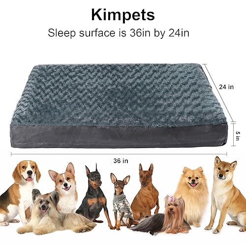 kimpets Dog Beds for Medium Large Dogs with Removable Washable Cover, 36"x 24" Shredded Memory Foam Orthopedic Dog Bed, Plush Soft Fluffy Pet Beds, Waterproof Dog Mats for Sleeping