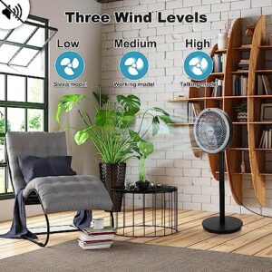 SONBION Standing Fan, 12 Inch Pedestal Fan with Remote Control, Three Speeds Air Circulator Fan, 2 In 1 Oscillating Air Circulation Floor Fan for Home Office, Two Height Settings and 7H Timer Function