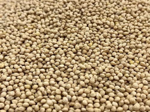 KAYSO INC Premium White Proso Millet Bird Seed Feed,10lbs Bulk Bag