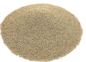 kayso inc premium white proso millet bird seed feed,10lbs bulk bag