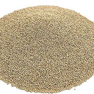 KAYSO INC Premium White Proso Millet Bird Seed Feed,10lbs Bulk Bag