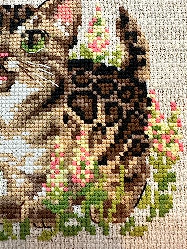 RIOLIS Counted Cross Stitch kit 2119 Bengal Kitten