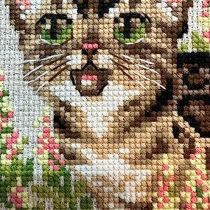 RIOLIS Counted Cross Stitch kit 2119 Bengal Kitten