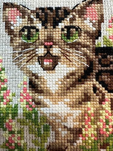 RIOLIS Counted Cross Stitch kit 2119 Bengal Kitten