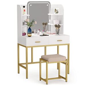 LITTLE TREE Vanity Set with LED Lighted Mirror and Cushioned Stool, Large Vanity Table Dressing Table Desk with Storage Shelves and 2 Drawers for Bedroom