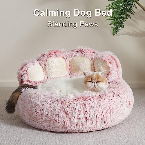 Jiupety Dog Bed with Standing Paws | Upgraded Soothing Paw Dog Bed | Cozy Comfy Dog Bed | Creative Dog Donut Bed with Bear Paws | Pink M Size 22”X22”X6”| Pet Paw Dog Bed for Dogs