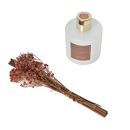 Cocorrína Reed Diffuser Sets - 6.7 oz Oud Bergamot Scented Diffuser with 8 Sticks Home Fragrance Essential Oil Reed Diffuser for Bathroom Shelf Decor