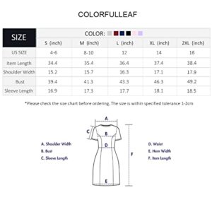 COLORFULLEAF 100% Cotton Nightgowns for Women 3/4 Sleeve Sleep Shirt Button Down Soft Sleepwear Night Dress S-XXL (Light Blue,M)