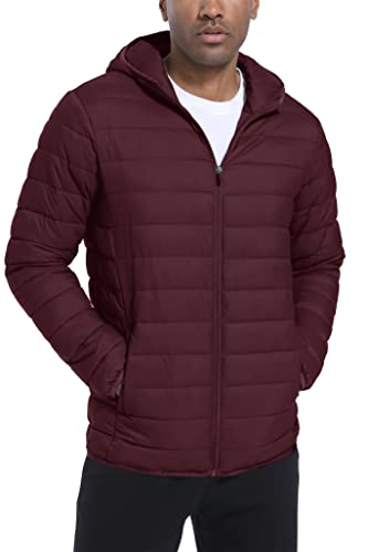 TACVASEN Hooded Down Jackets For Men Quilted Jackets Lightweight Jackets Skiing Jackets Windproof Jackets Water-Resistant Jackets Winter Coat