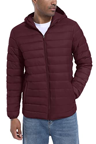 TACVASEN Hooded Down Jackets For Men Quilted Jackets Lightweight Jackets Skiing Jackets Windproof Jackets Water-Resistant Jackets Winter Coat