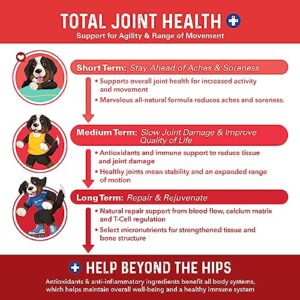 Bernie's Marvelous Mobility - Daily Dog Hip and Joint Supplement - Maintains Overall Well Being & Promotes a Healthy Immune System (90 Count)