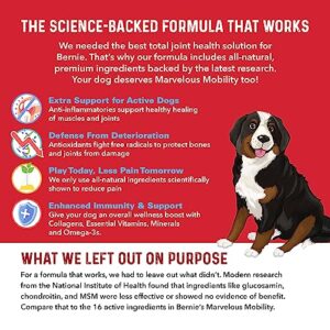 Bernie's Marvelous Mobility - Daily Dog Hip and Joint Supplement - Maintains Overall Well Being & Promotes a Healthy Immune System (90 Count)