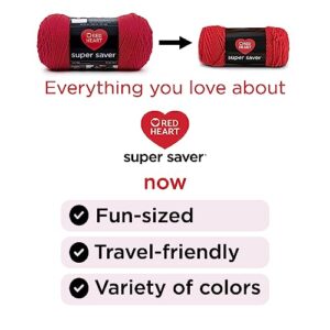 Red Heart Super Saver Super Yarn Craft Kit for Knitting, Crocheting, Crafts & Amigurumi Projects