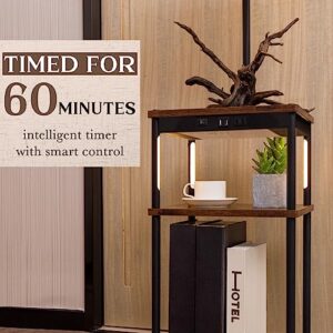 Pazarfami Floor Lamp with Shelves,Bedside Table with Reading Mode & Timer, Illuminated Display Shelves, Three-Tier Storage, Floor Lamp for Living Room with Remote Control USB Ports & Outlets