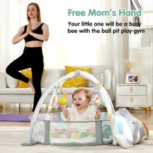 Lupantte 4-in-1 Baby Play Gym, Activity Gym Ball Pit with Detachable Anti-Slip Thickening Tummy Time Mat with Sensory Toys for Newborn Infant Toddler to Develop Motor&Cognition,Include 40 Balls