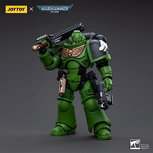 HiPlay JoyToy Warhammer 40K Salamanders Intercessors Brother Haecule 1:18 Scale Collectible Action Figure