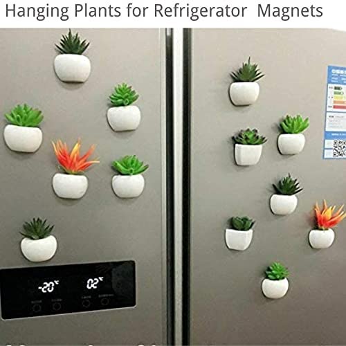 Fridge Magnet Plant Magnets Succulent Magnets Artificial Plants Refrigerator Magnets Fake Succulents Whiteboard Magnet Strong Magnetic Fridge Decoration Magnet for Home Kitchen Decoration (A)