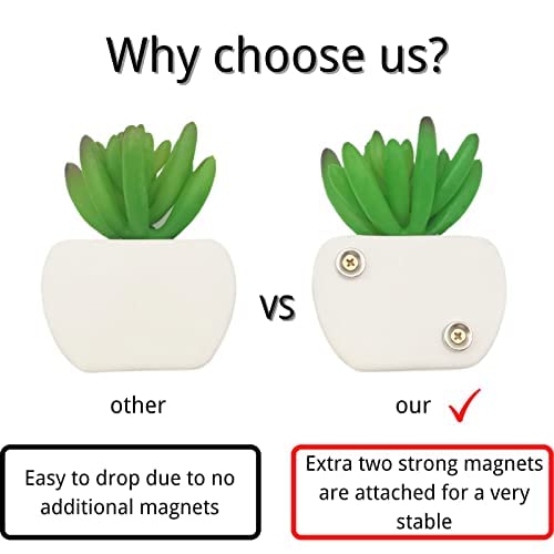 Fridge Magnet Plant Magnets Succulent Magnets Artificial Plants Refrigerator Magnets Fake Succulents Whiteboard Magnet Strong Magnetic Fridge Decoration Magnet for Home Kitchen Decoration (A)