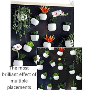 Fridge Magnet Plant Magnets Succulent Magnets Artificial Plants Refrigerator Magnets Fake Succulents Whiteboard Magnet Strong Magnetic Fridge Decoration Magnet for Home Kitchen Decoration (A)