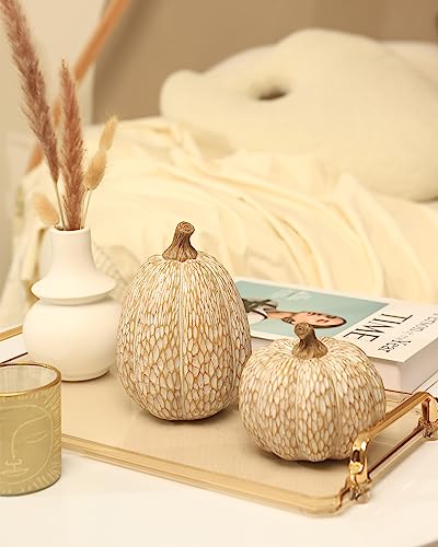 DN DECONATION Thanksgiving Resin Pumpkin Statue, Brown and White Pumpkin Figurine, Faux Decorative Pumpkins for Table Centerpiece, Countryside Autumn Fall, Set of 2, Gift