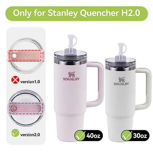 Hotanry 6pcs Spill Stopper Set for Stanley Quencher H2.0 40oz & 30oz Tumbler with Handle, Stanley Cup Accessories Including 2 Straw Cover Cap, 2 Square Spill Stopper, 2 Round Leak Proof Stopper