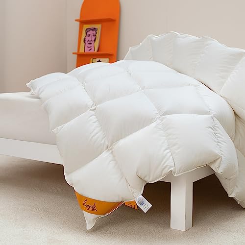 Bevink Feather Down Comforter Queen/Full Size, Luxurious All Seasons Duvet Insert Solid White,Ultra-Soft Down Proof Fabric,Medium Warm Quilted Bed Comforter with Loops (90x90in)