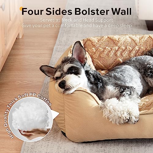 JOEJOY Small Dog Bed for Medium Small Dogs, Rectangle Washable Dog Sofa Bed, Soft Breathable Puppy Bed, Durable Pet Cuddler Bed with Anti-Slip Bottom, 20"x19"x6", Beige