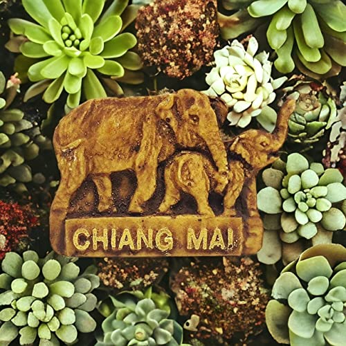 WitnyStore 1⅞" Chiangmai Elephant Mom and Baby Right Side 3D Resin Fridge Magnet with Artificial Wood Grain Mammal Wild Life Animals Souvenir Refrigerator Magnets Decorative Collectibles Gifts