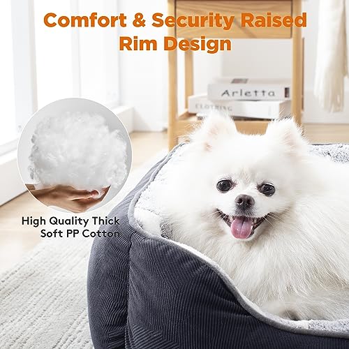 GASUR Rectangle Dog Bed for Small Dogs, Cozy Washable Dog Sofa Bed, Durable Pet Cuddler Anti-Slip Bottom, Soft Calming Sleeping Warming Puppy Bed