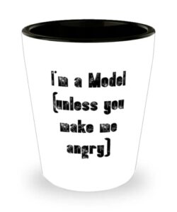 unique model gifts, i'm a model (unless you make me angry), cool shot glass for colleagues, ceramic cup from boss, model car, model airplane, model train, model rocket, diecast model, plastic model