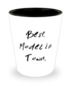 brilliant model shot glass, best model in town, present for coworkers, funny gifts from coworkers, model car, model airplane, model train, model rocket, diecast model, plastic model kit