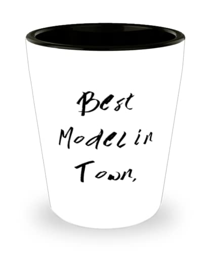 Brilliant Model Shot Glass, Best Model in Town, Present For Coworkers, Funny Gifts From Coworkers, Model car, Model airplane, Model train, Model rocket, Diecast model, Plastic model kit