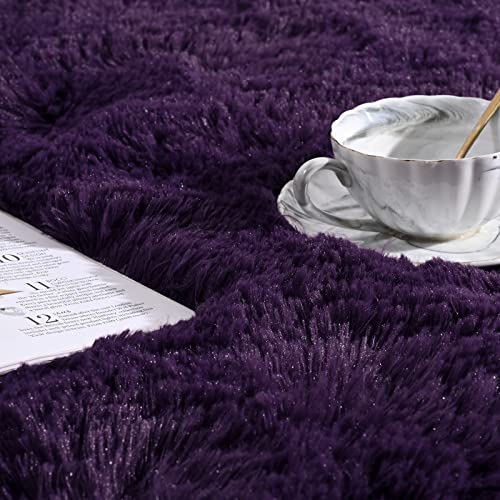 Softlife Ultra Soft Fluffy Area Rugs for Bedroom, Girls and Boys Room Kids Room Nursery Rug, 3 x 5 Feet Shaggy Fur Indoor Plush Modern Floor Carpet for Living Room, Dark Purple